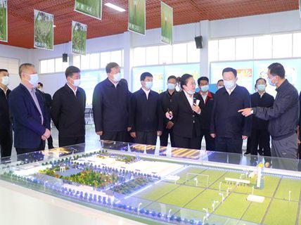 省委副書(shū)記、省長(zhǎng)周乃翔到新綠洲公司調(diào)研指導(dǎo)工作